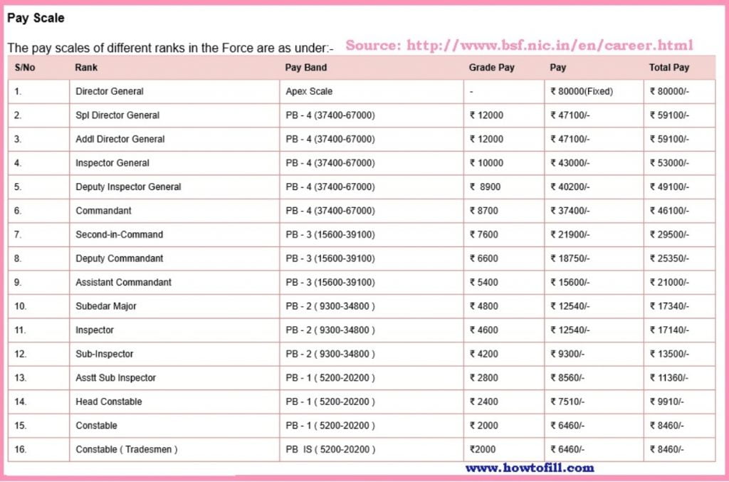 BSF Pay Slip 2023 Monthly Download Login at Hub.bsf.gov.in