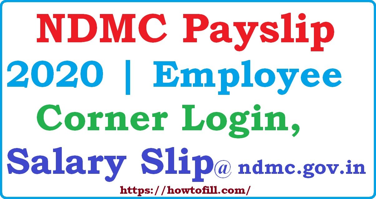 ndmc employees salary slip