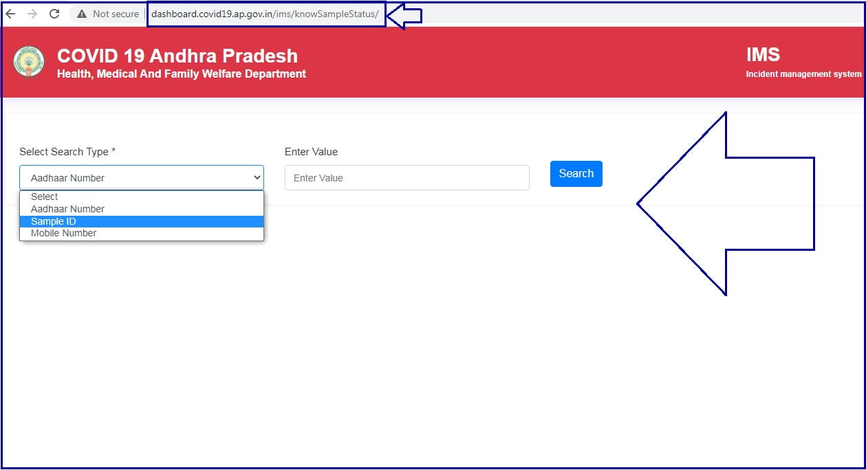 ap covid-19 test results online