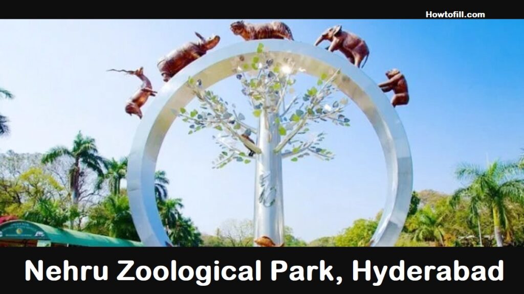 nehru zoological park safari videos